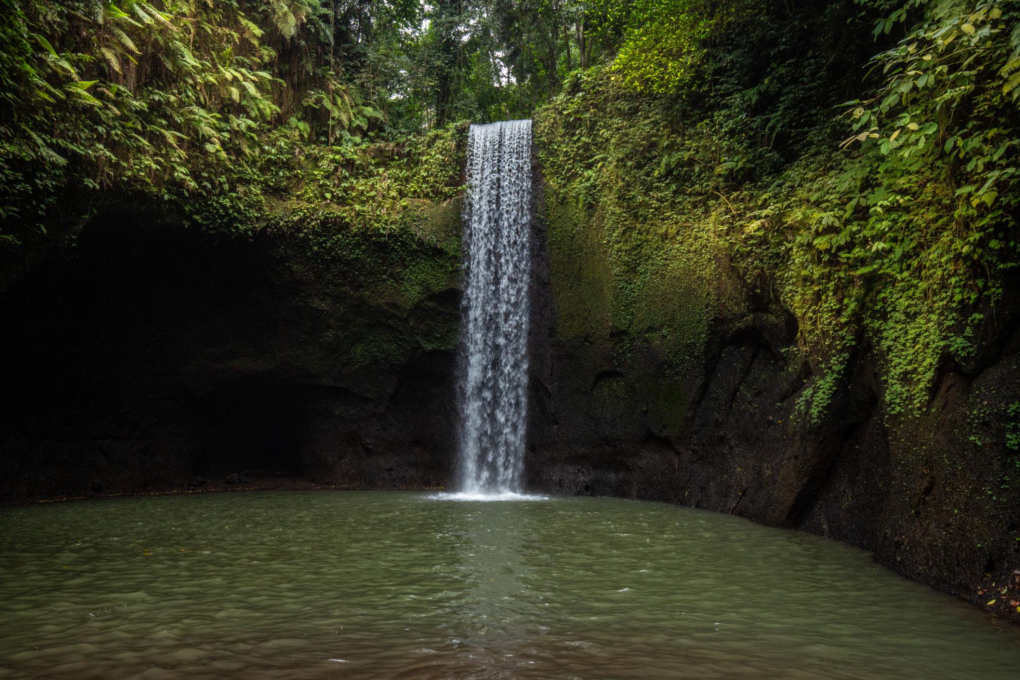 Bali jungle waterfalls 1