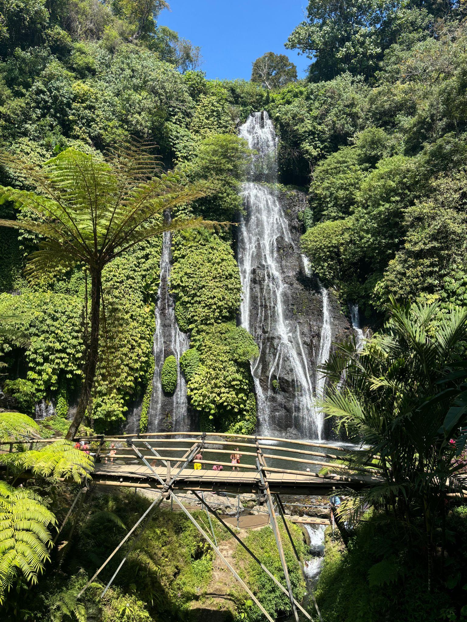 Bali jungle waterfalls 2