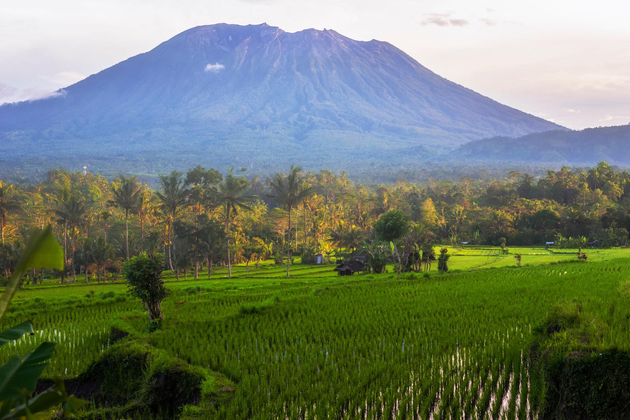 Bali rice terraces and surrounding landscape 2