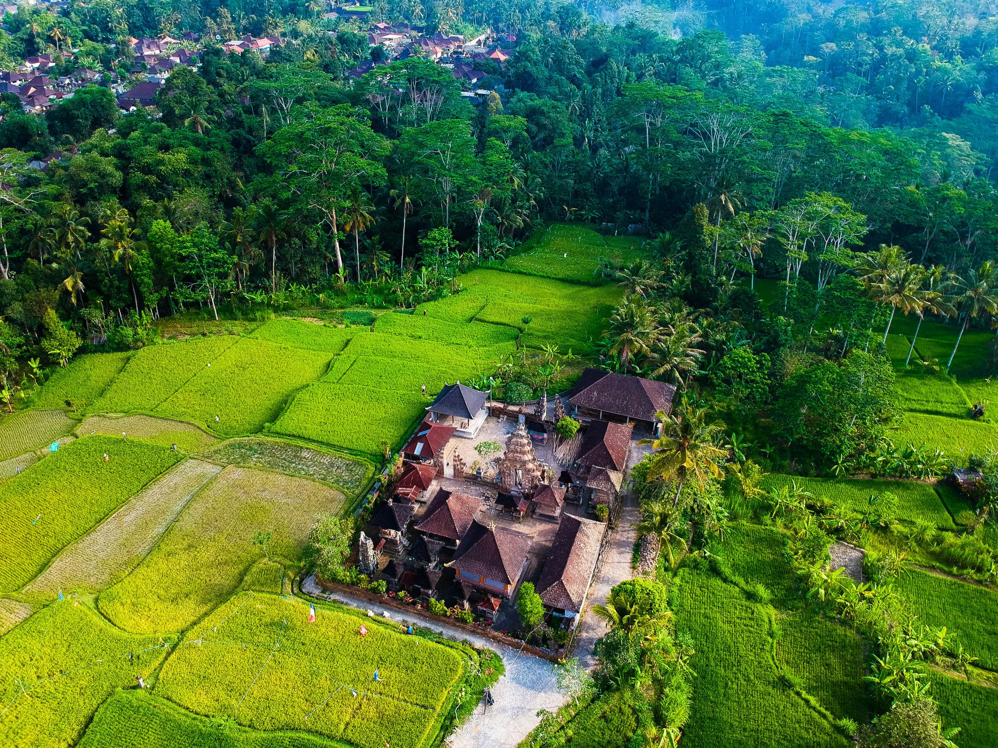 Bali rice terraces and surrounding landscape 3