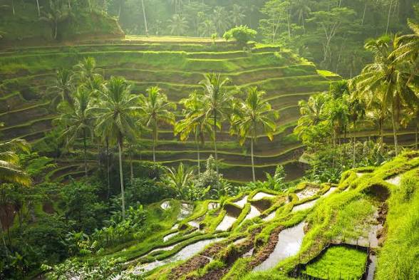 Best Things to Do in Bali — Ultimate 2026 Guide