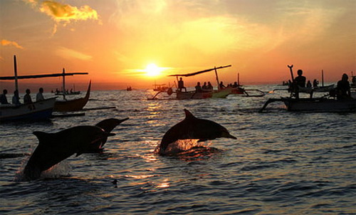 Ocean Giants: Swimming with Manta Rays in Nusa Penida Waters